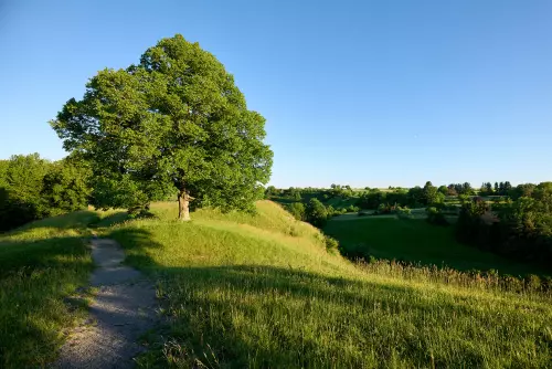 Blick auf grüne Wiesen und Bäume entlang eines Wanderpfads in der Nähe vom Bergcafe Reusten.