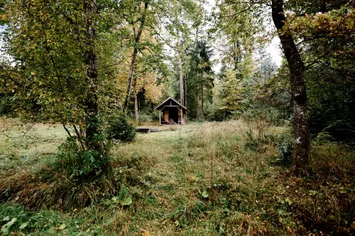 HerbstSpaziergang im Schönbuch. Blick auf eine Schutzhütte aus Holz, inklusive Grillstelle, eingerahmt von noch grünem, zum Teil schon gelb-braun gefärbtem Blätterwerk der umstehenden Bäume.