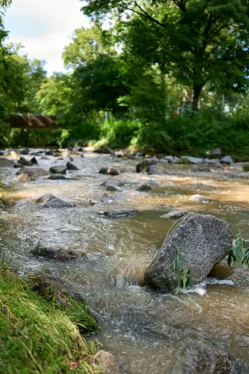 Nahaufnahme eines grauen Steins in der Goldersbachmündung. Der Bach, umgeben von grünen Bäumen und Sträuchern, mündet in die Ammer.