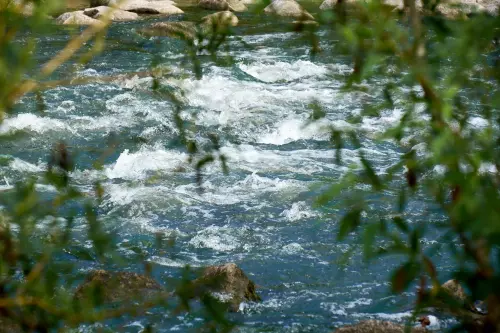 Blick durch grüne Ufer-Sträucher hindurch auf die Ammer bei Tübingen bei relativ hohem Wasserstand.