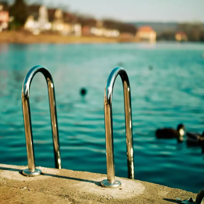 Im Zentrum eine Trittleiter aus verchromtem Stahl die vom betonierten, bräunlich schimmernden Steg aus zum blaugrünlich wirkenden Wasser des Neckars herunterreicht.