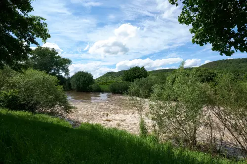 Blick auf den von grünen Bäumen und Sträuchern eingerahmten, aber "reißenden" Neckar, der sonst eher gemächlich dahinfließt, an einem sonnigen Tag.