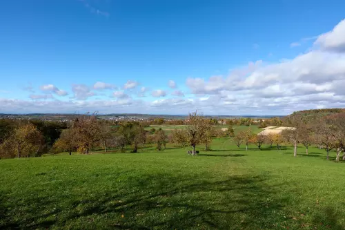 Landschaftsbild an einem sonnigen Oktobertag mit Blick auf Streuobstwiesen entlang des Wanderwegs "Früchtetrauf" in der Nähe von Mössingen.