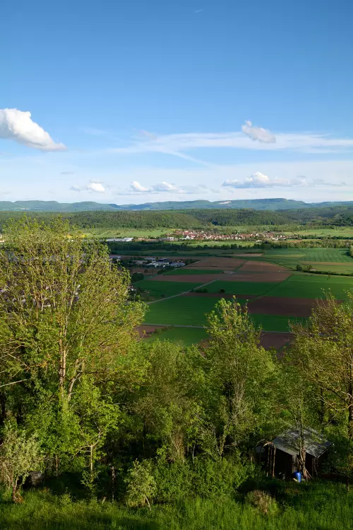 Blick vom Spitzbergweg auf Bäume, grüne und braune Ackerfächen, die Ortschaften Hirschau und Weilheim und die nördlichen Ausläufer der Schwäbischen Alb.