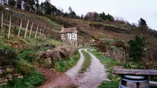 Geschotterter Feldweg durch die abgeernteten Weinberge am Spitzberg mit Blick auf eine solide Werkzeughütte mit Fachwerk.