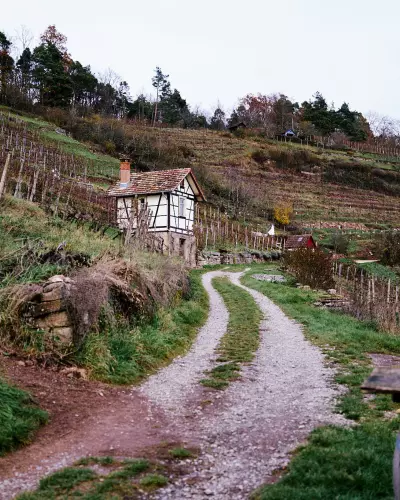 Geschotterter Feldweg durch die abgeernteten Weinberge am Spitzberg mit Blick auf eine solide Werkzeughütte mit Fachwerk.