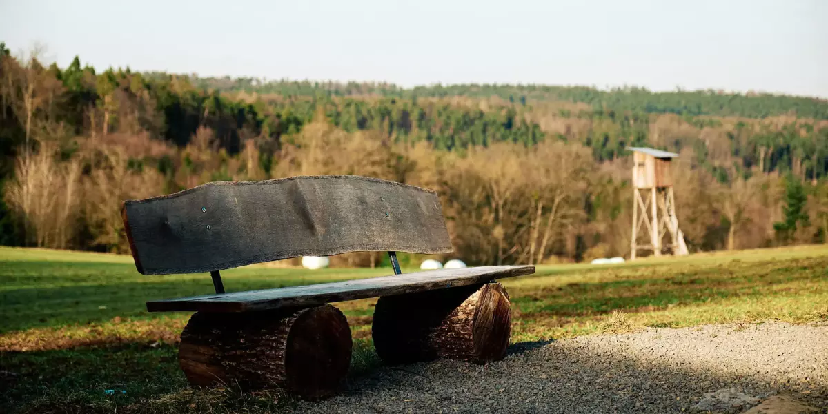 Eine aus Baumstämmen und Brettern gefertige Holzbank vor einem Wald mit Hochsitz im Hintergrund