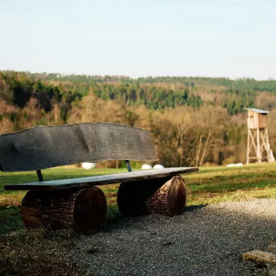 Eine aus Baumstämmen und Brettern gefertige Holzbank vor einem Wald mit Hochsitz im Hintergrund