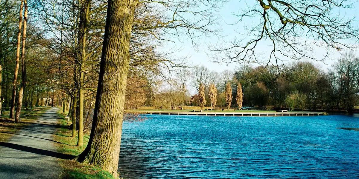 Parkanlage mit blattlosen Bäumen am Weg und Blick auf blauem See