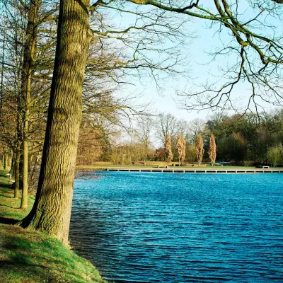 Parkanlage mit blattlosen Bäumen am Weg und Blick auf blauem See